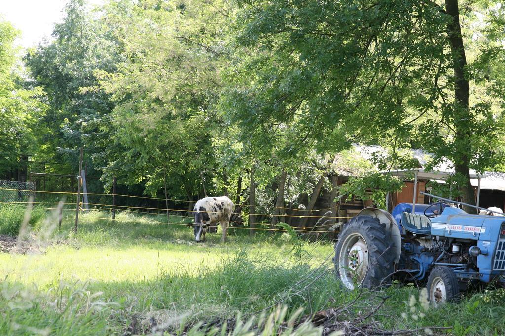 Agriturismo Maliso Ceggia Bagian luar foto